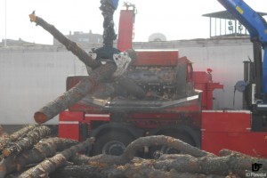 IDForestal Astilladora Trituradora