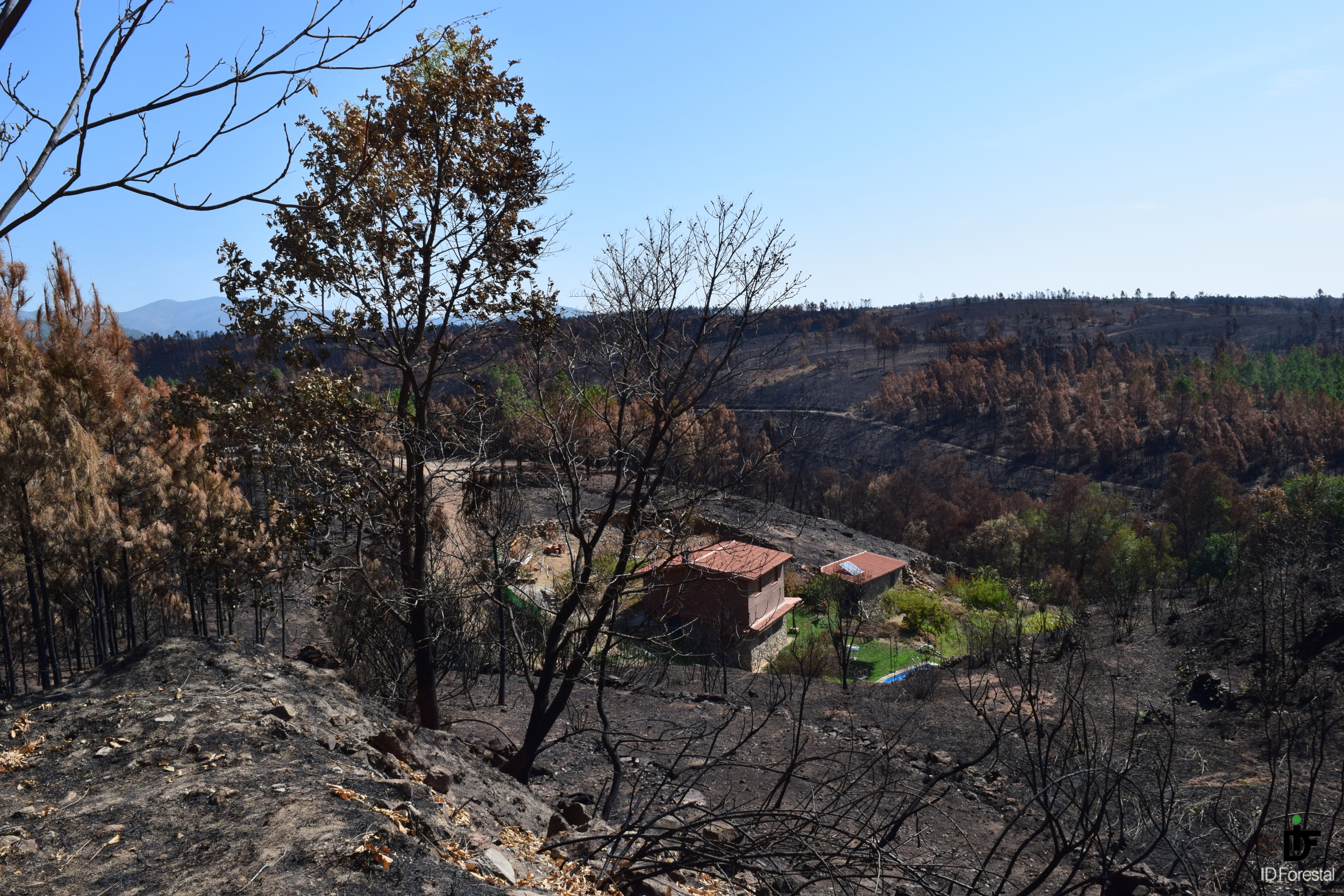 IDForestal Incendio de Sierra de Gata 2015