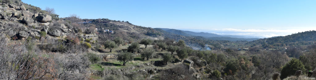 IDForestal Sierra de San Vicente (Toledo)